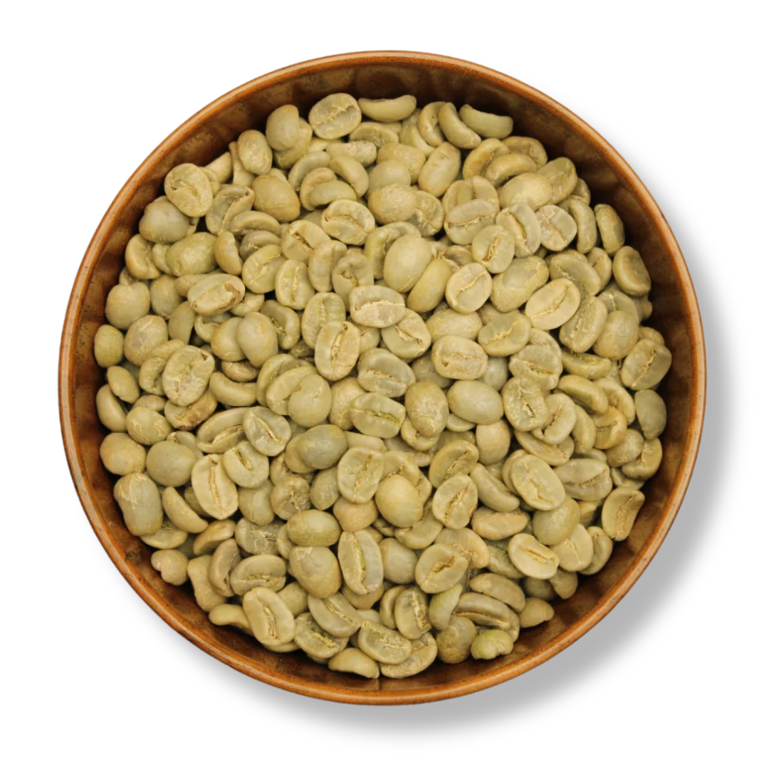 Robusta