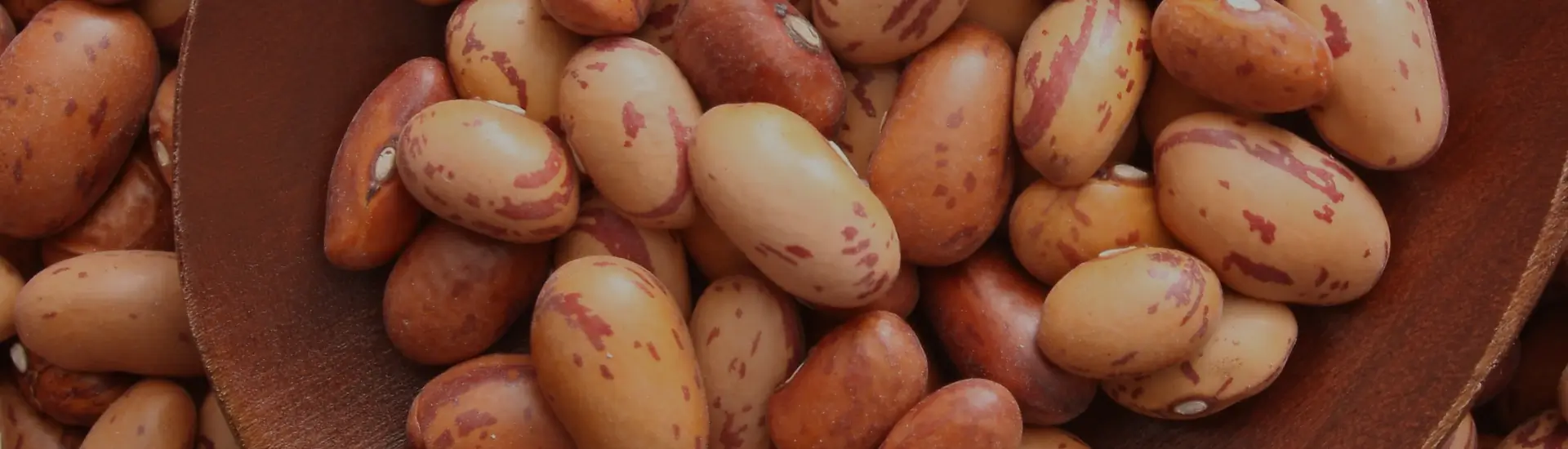 Beans
