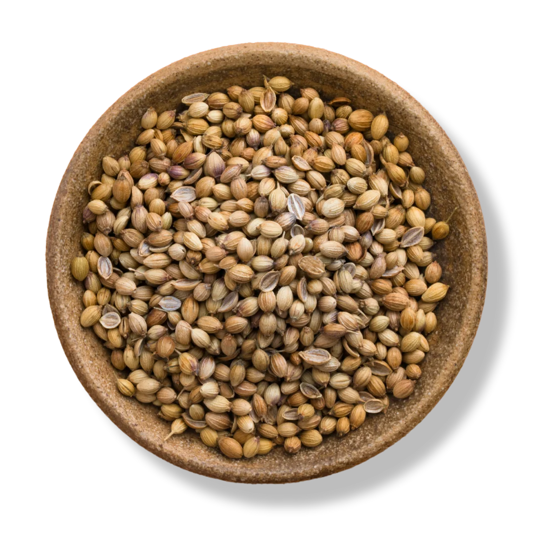 Coriander Seeds