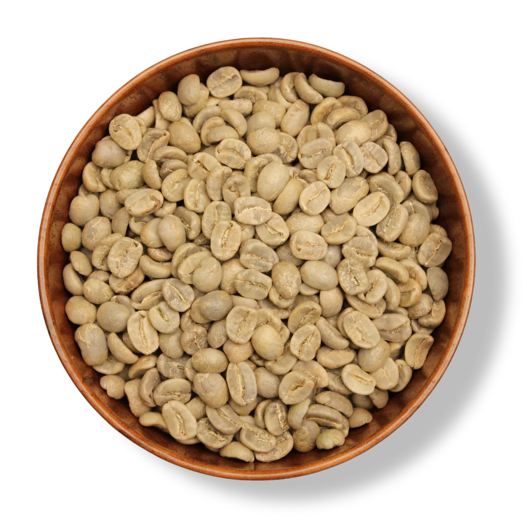 Arabica