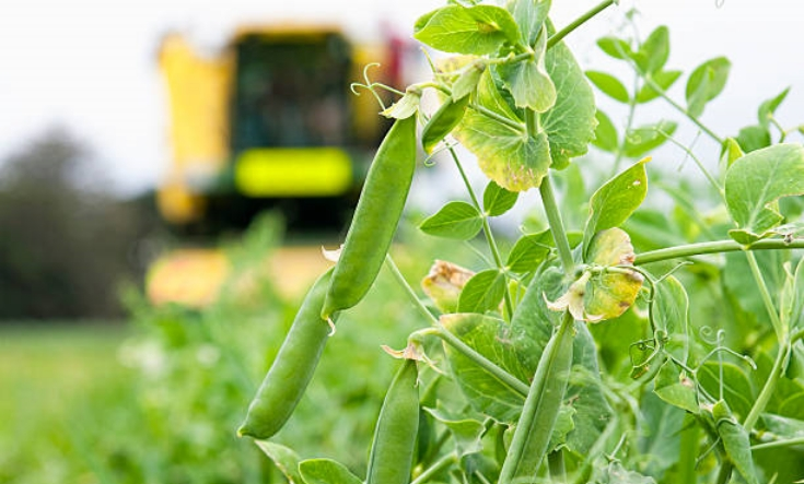 Crop Tour to Jaipur, India
