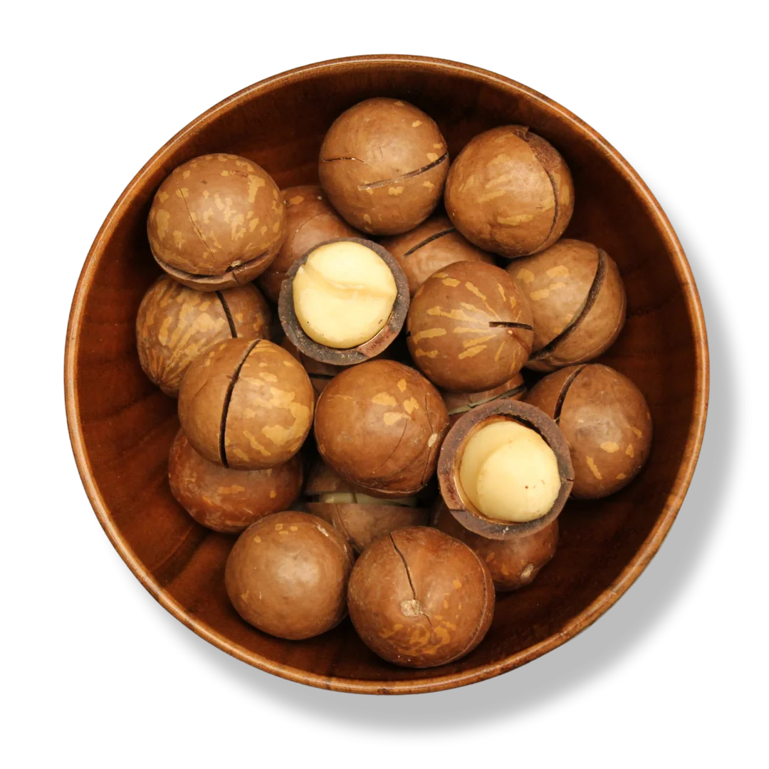 Macadamia