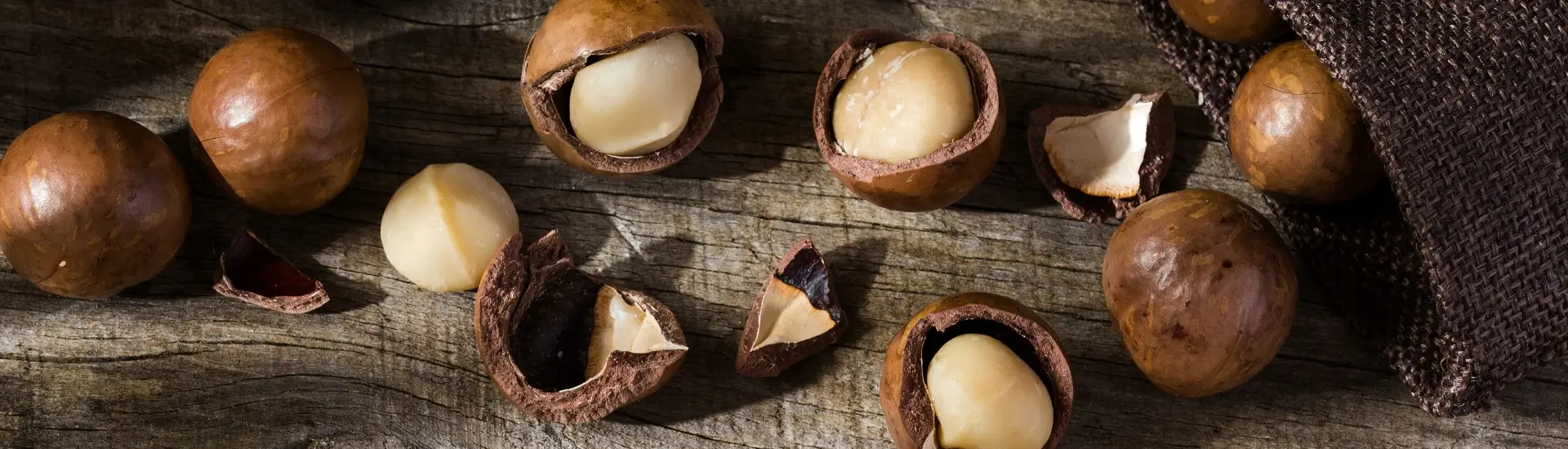 Macadamia