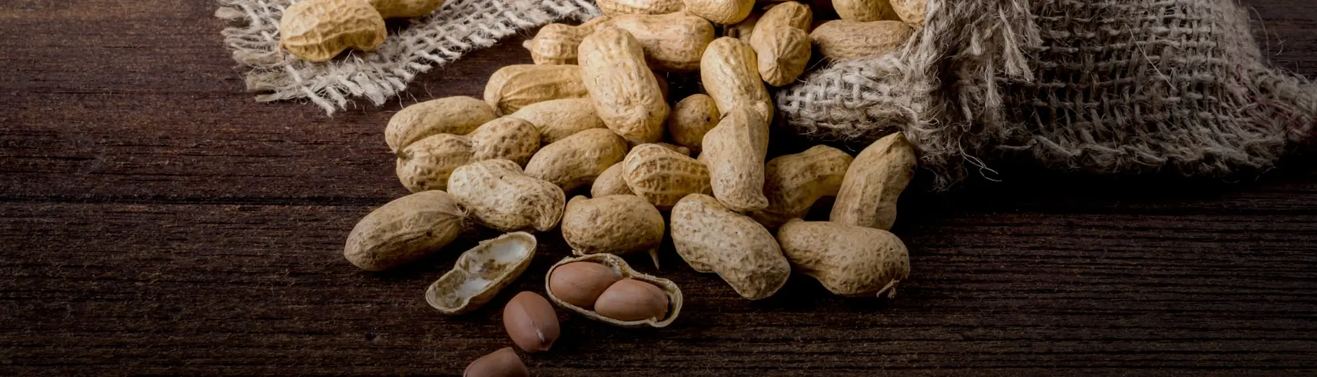 Peanuts