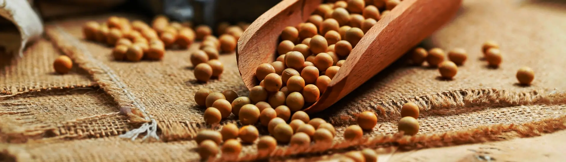 Pulses & Beans