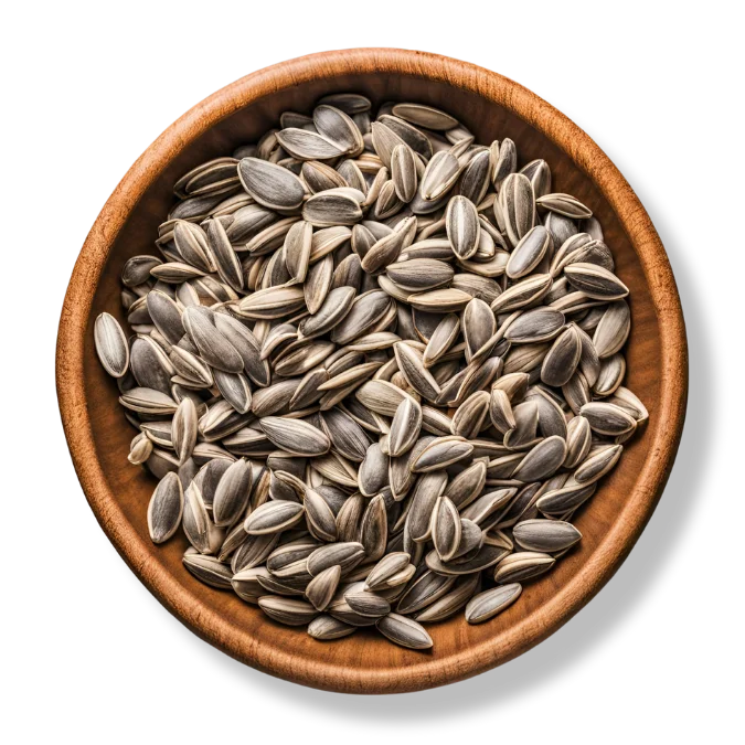 Sunflower Seeds