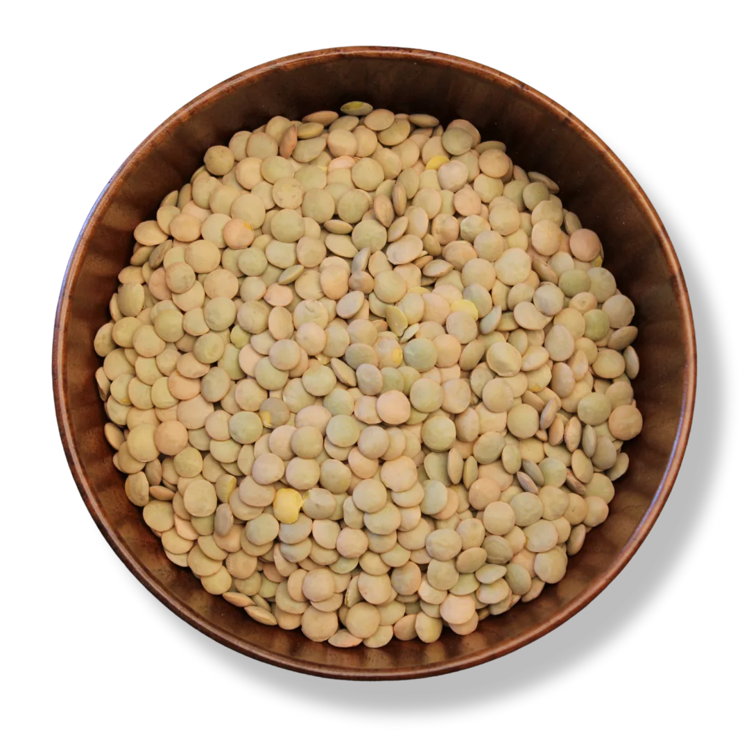 Green Lentils