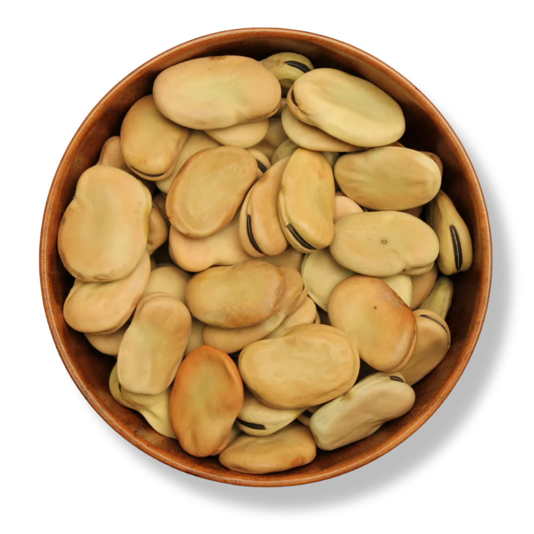 Broad Beans