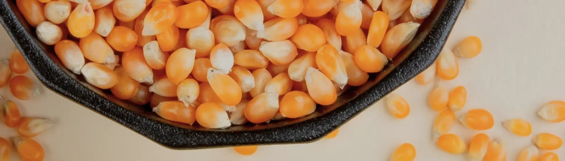 Popcorn Kernels