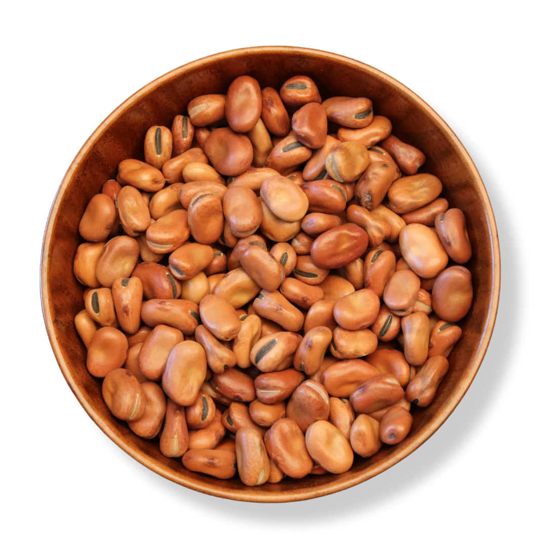 Faba Beans
