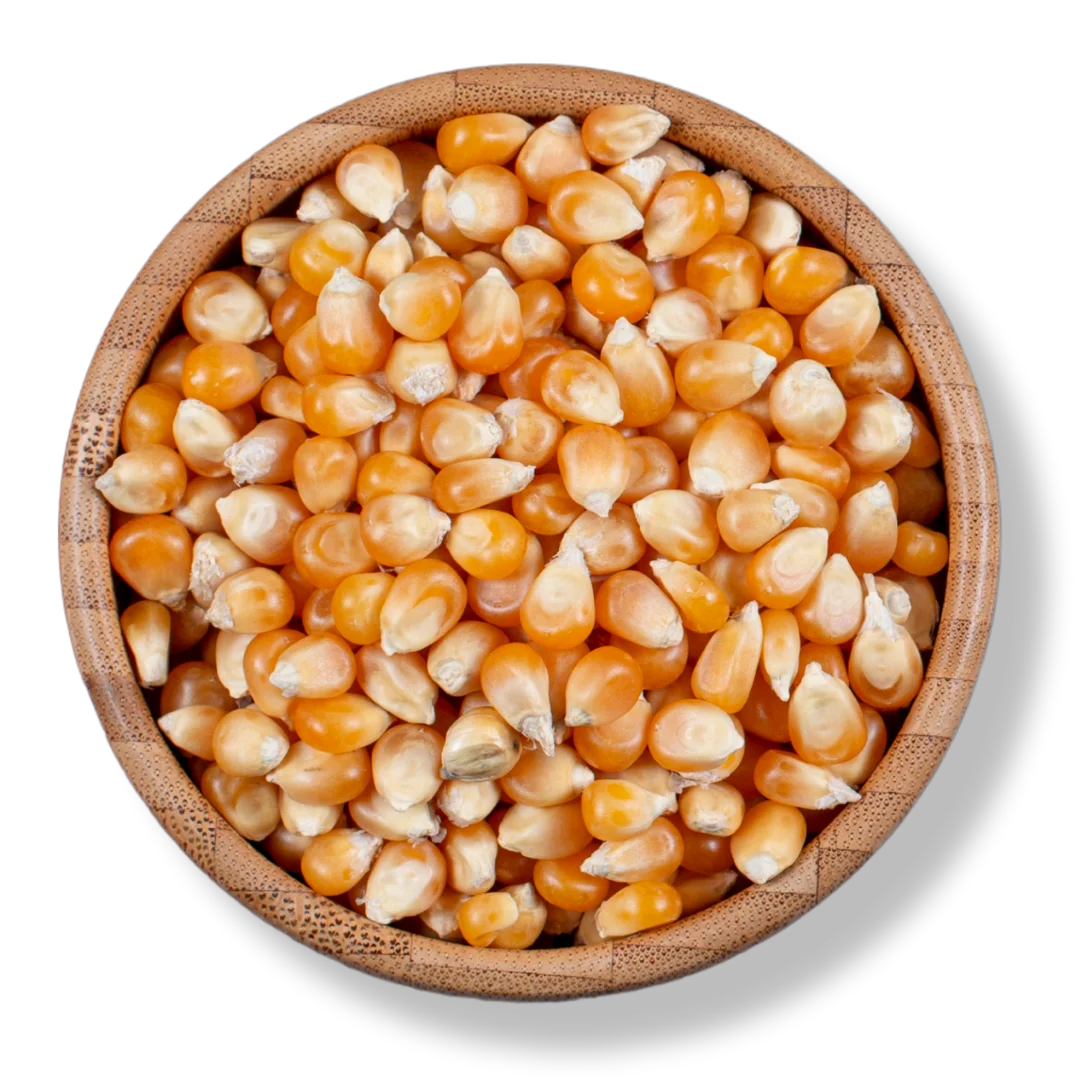 Popcorn Kernels