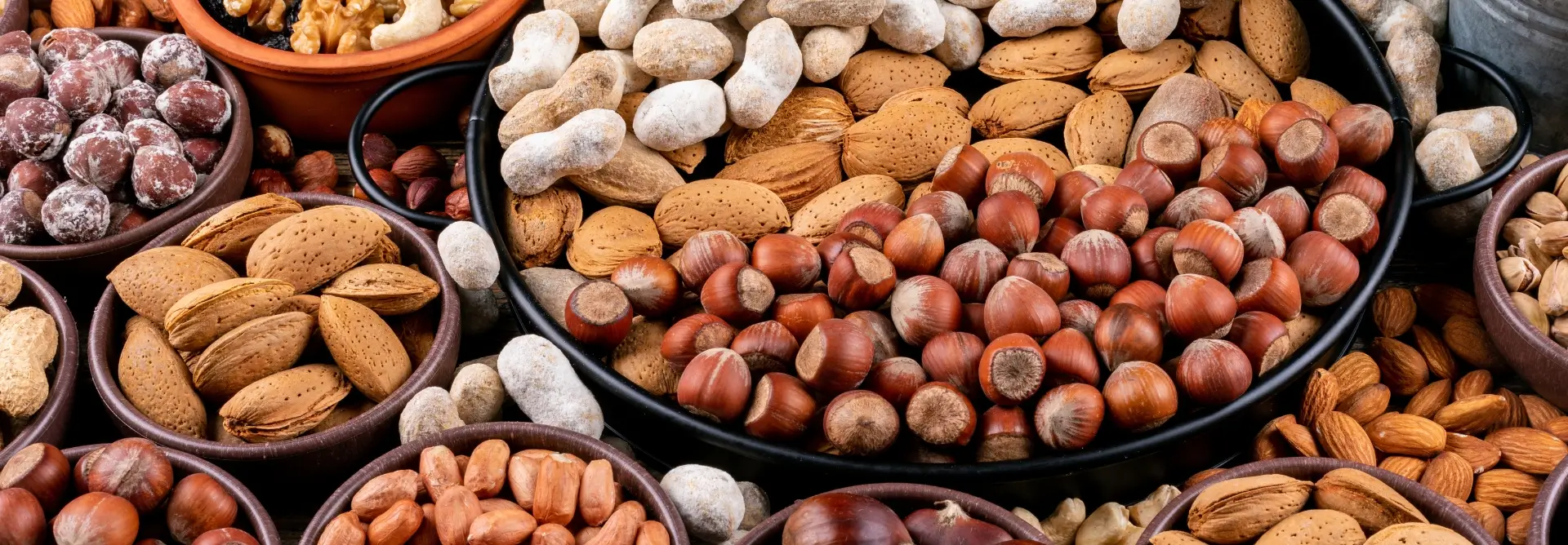 Nuts & Dry Fruits
