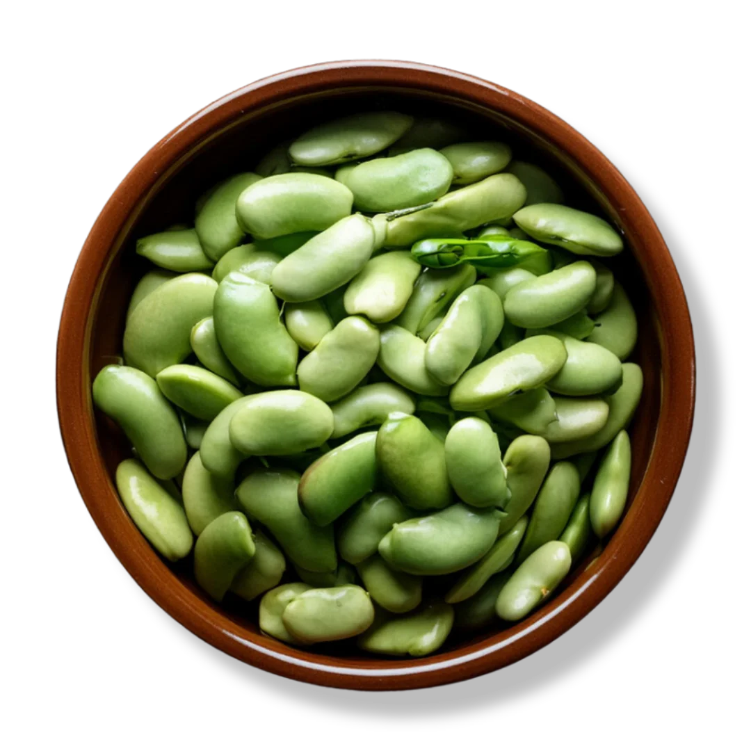 Lima Beans 