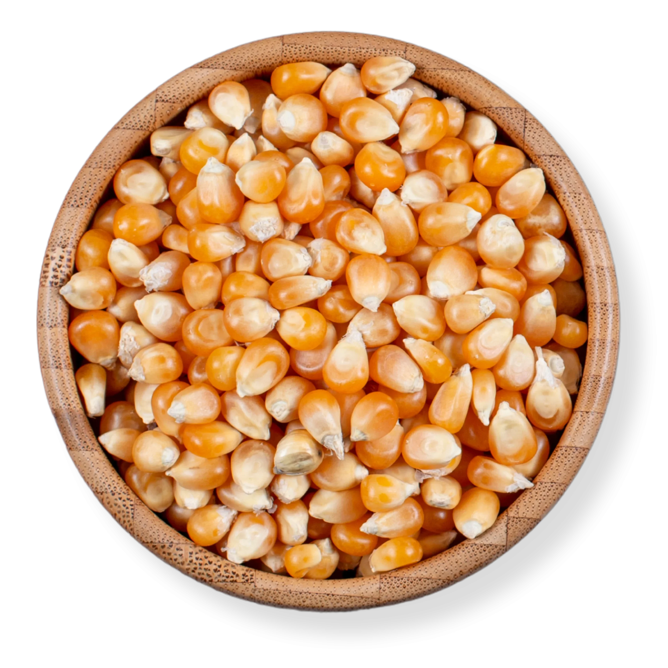 pulses and beans